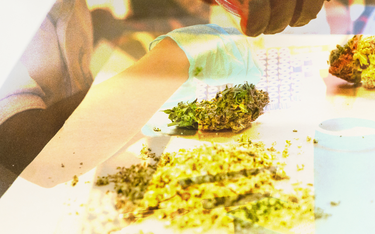 Prohibición del HHC en España 2025: qué es y por qué se ha ilegalizado