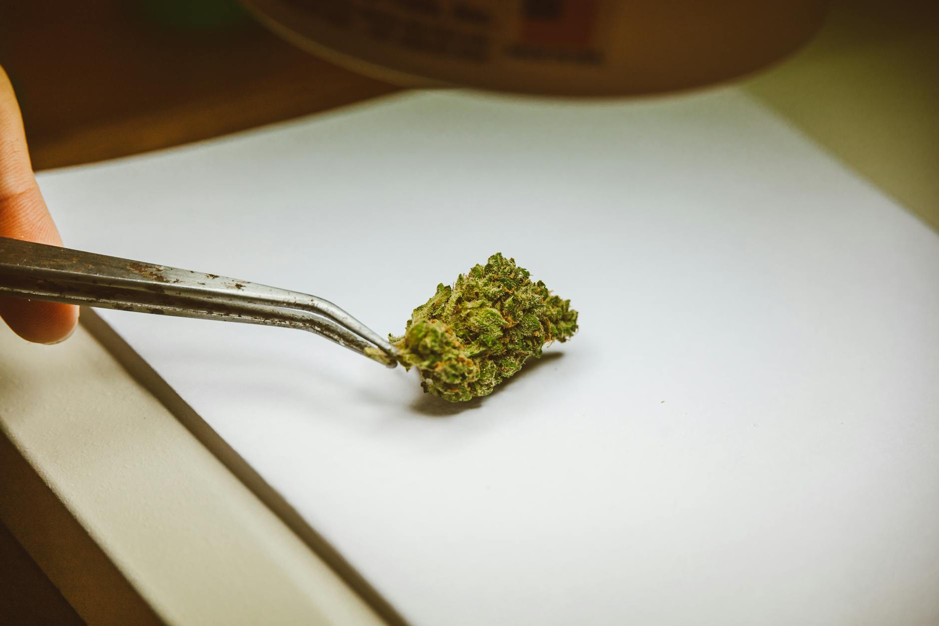 THC y CBD: Diferencias